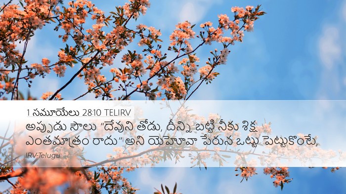 1 సమూయేలు 28:10 TELIRV Bible Verse Image
