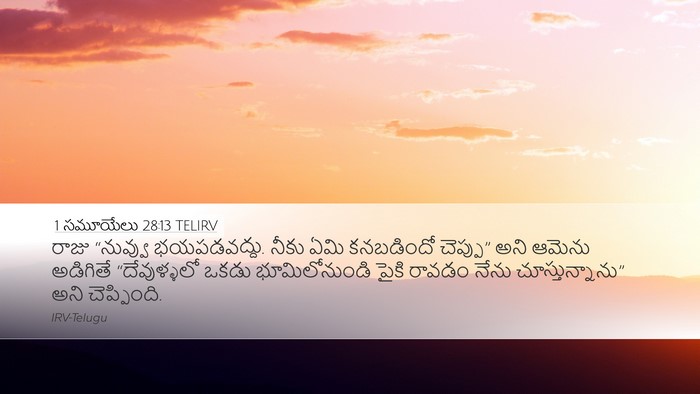 1 సమూయేలు 28:13 TELIRV Bible Verse Image