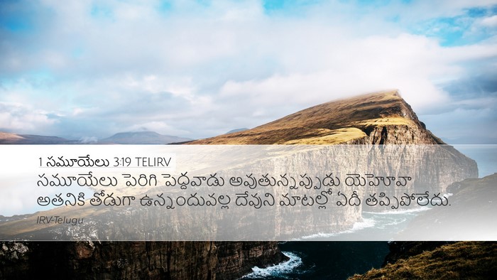 1 సమూయేలు 3:19 TELIRV Bible Verse Image