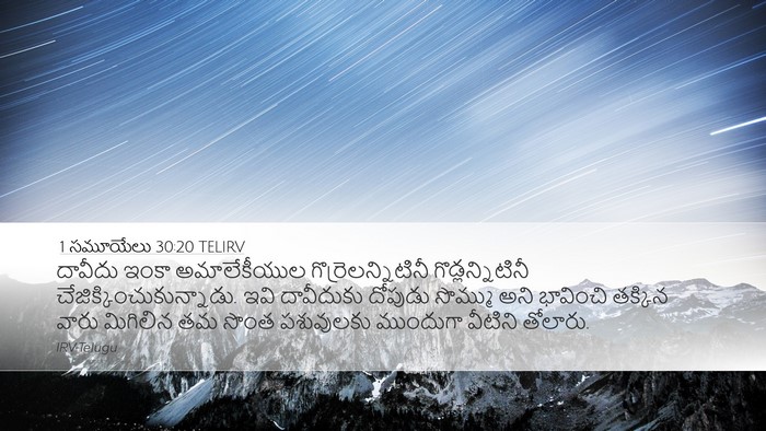 1 సమూయేలు 30:20 TELIRV Bible Verse Image