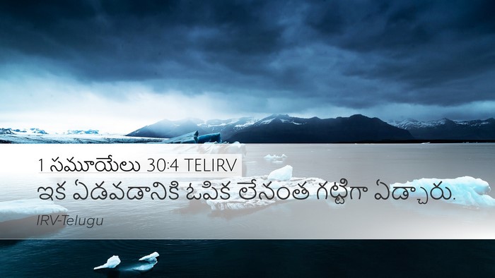 1 సమూయేలు 30:4 TELIRV Bible Verse Image