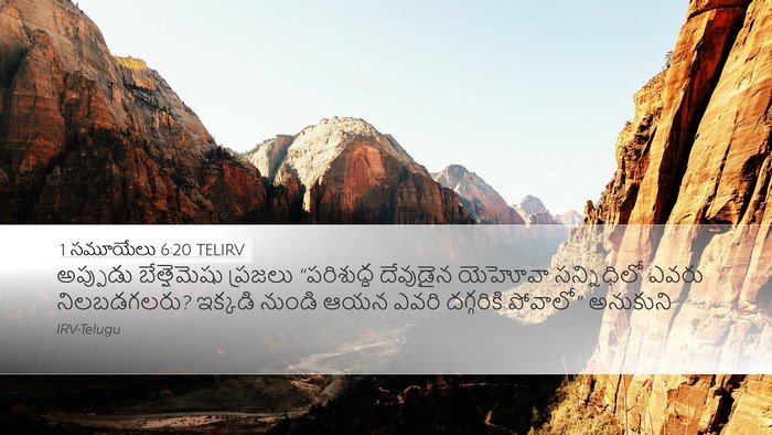 1 సమూయేలు 6:20 TELIRV Bible Verse Image