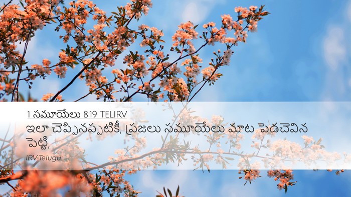 1 సమూయేలు 8:19 TELIRV Bible Verse Image