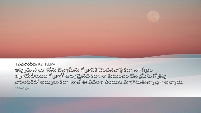1 సమూయేలు 9:21 TELIRV Desktop Wallpaper - అప్పుడు సౌలు - Desktop Bible Verse Wallpaper