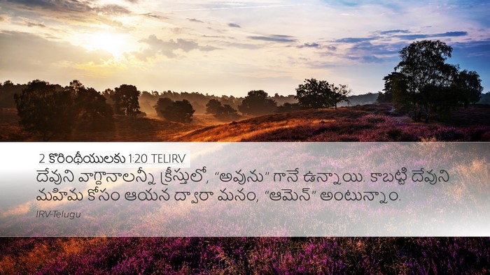 2 కొరింథీయులకు 1:20 TELIRV Bible Verse Image