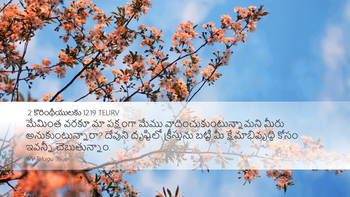 2 కొరింథీయులకు 12:19 TELIRV Bible Verse Image