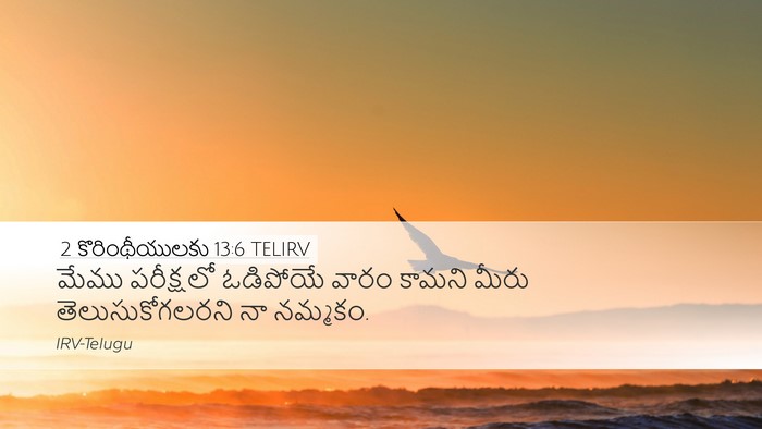 2 కొరింథీయులకు 13:6 TELIRV Bible Verse Image