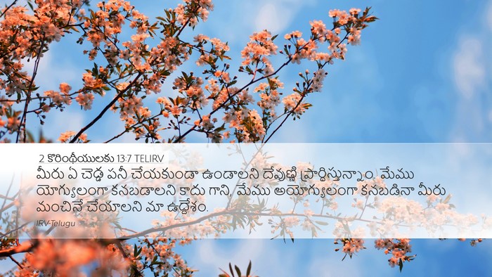 2 కొరింథీయులకు 13:7 TELIRV Desktop Wallpaper - మీరు ఏ చెడ్డ పనీ - Desktop Bible Verse Wallpaper