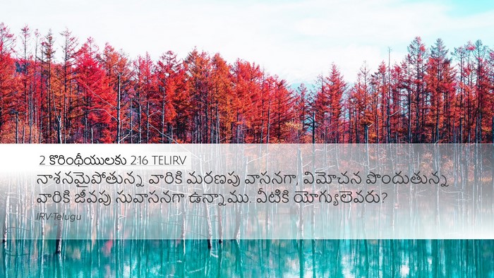 2 కొరింథీయులకు 2:16 TELIRV Bible Verse Image