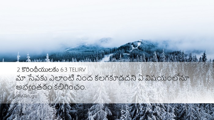 2 కొరింథీయులకు 6:3 TELIRV Bible Verse Image