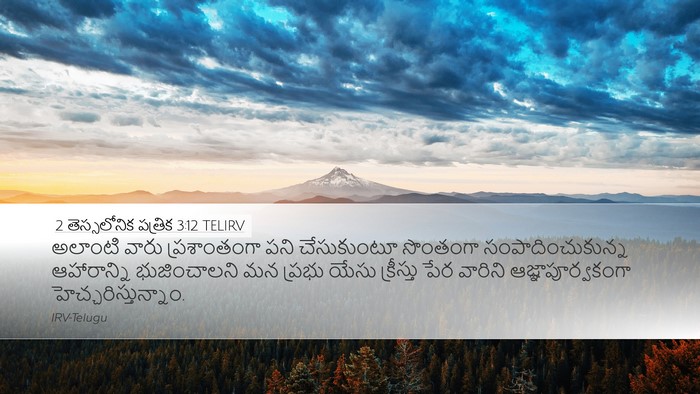 2 తెస్సలోనిక పత్రిక 3:12 TELIRV Bible Verse Image