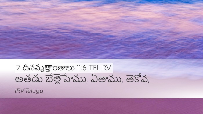 2 దినవృత్తాంతాలు 11:6 TELIRV Bible Verse Image