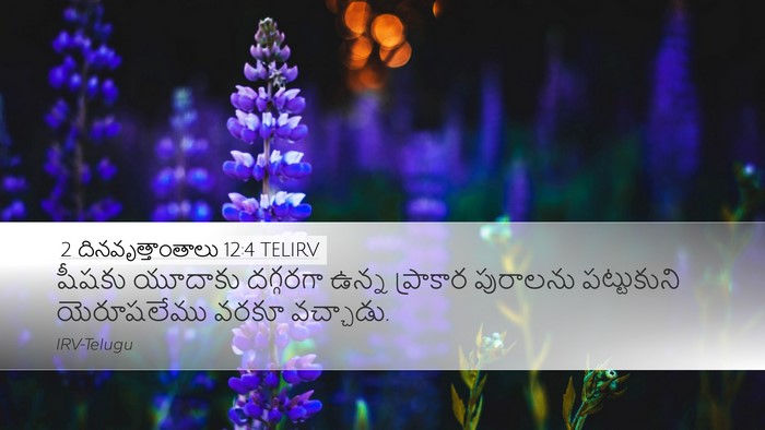 2 దినవృత్తాంతాలు 12:4 TELIRV Desktop Wallpaper - షీషకు యూదాకు - Desktop Bible Verse Wallpaper