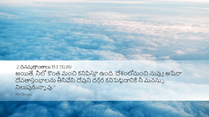 2 దినవృత్తాంతాలు 19:3 TELIRV Bible Verse Image