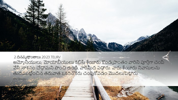 2 దినవృత్తాంతాలు 20:23 TELIRV Bible Verse Image