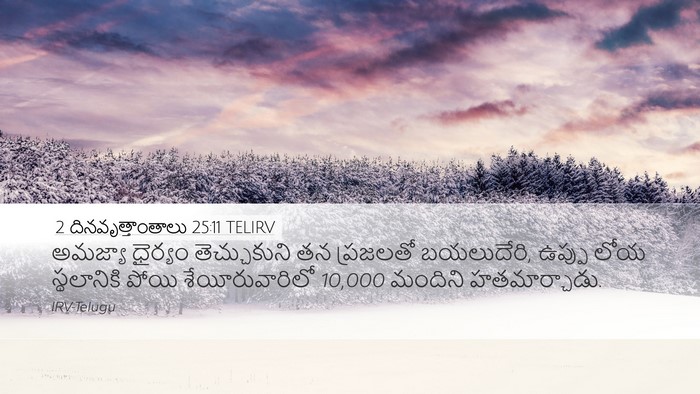 2 దినవృత్తాంతాలు 25:11 TELIRV Bible Verse Image