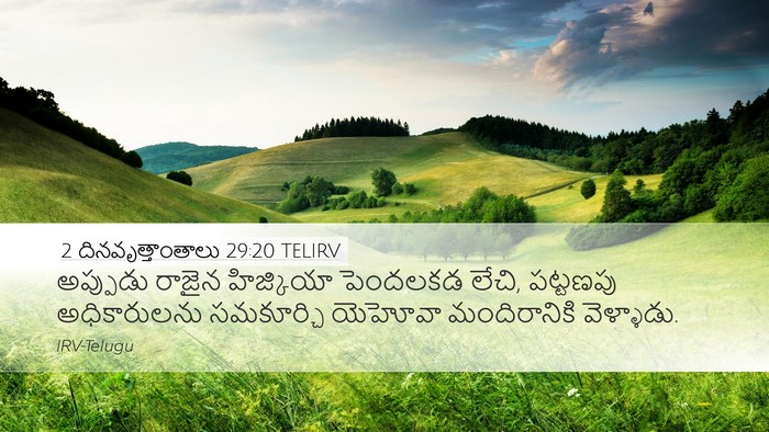 2 దినవృత్తాంతాలు 29:20 TELIRV Bible Verse Image