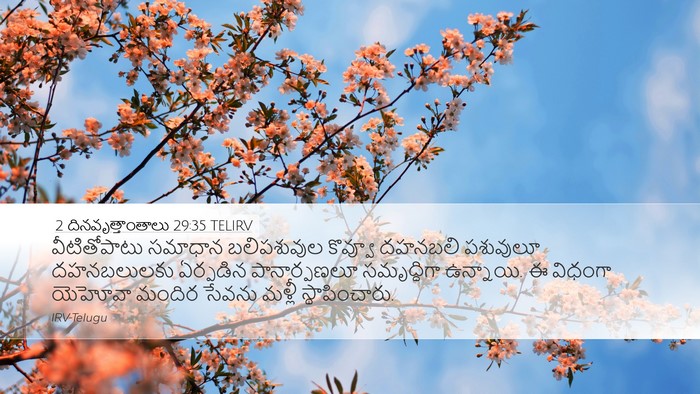 2 దినవృత్తాంతాలు 29:35 TELIRV Desktop Wallpaper - వీటితోపాటు సమాధాన - Desktop Bible Verse Wallpaper