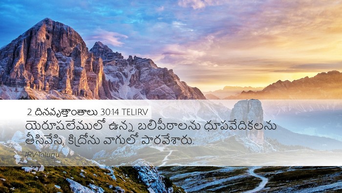 2 దినవృత్తాంతాలు 30:14 TELIRV Bible Verse Image