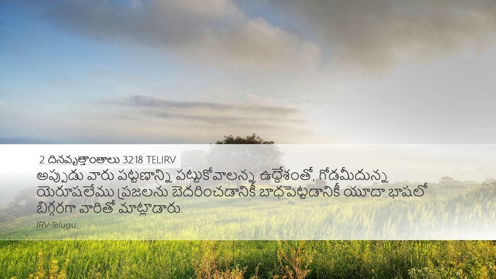 2 దినవృత్తాంతాలు 32:18 TELIRV Bible Verse Image
