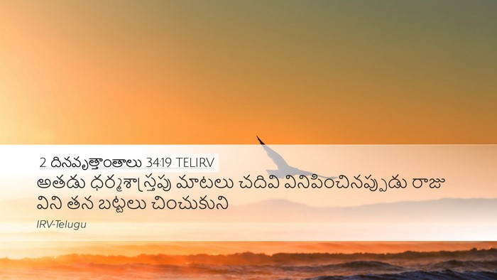 2 దినవృత్తాంతాలు 34:19 TELIRV Bible Verse Image