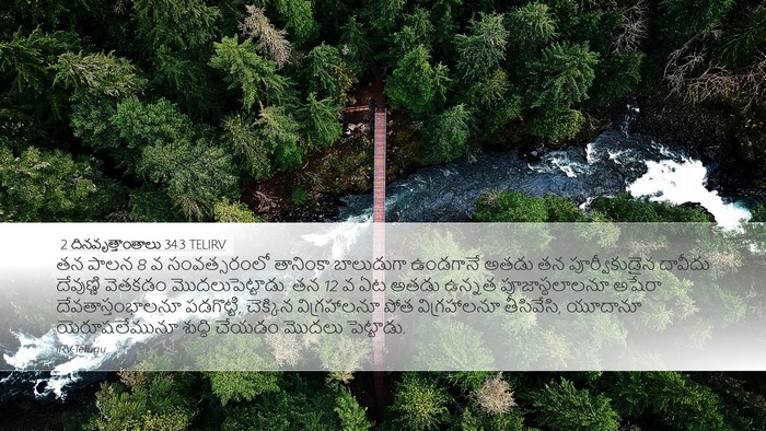 2 దినవృత్తాంతాలు 34:3 TELIRV Bible Verse Image
