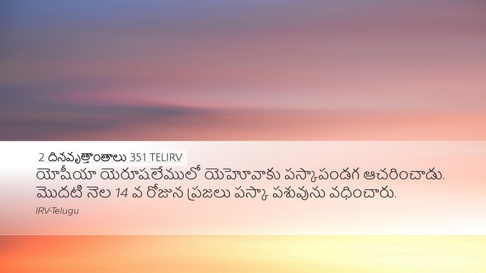 2 దినవృత్తాంతాలు 35:1 TELIRV Bible Verse Image