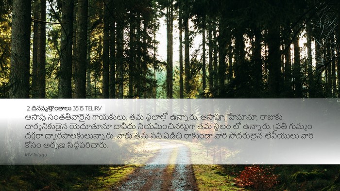 2 దినవృత్తాంతాలు 35:15 TELIRV Bible Verse Image