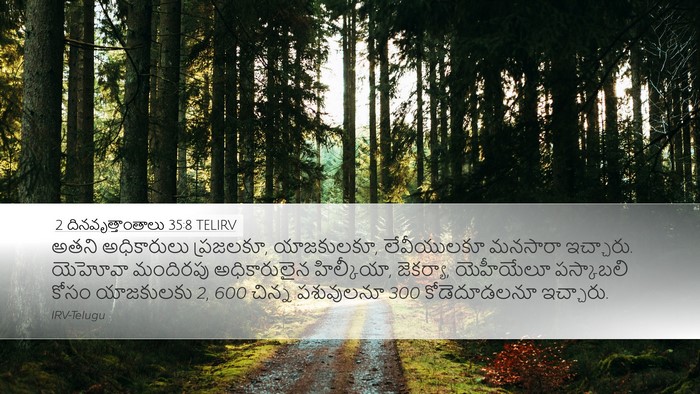 2 దినవృత్తాంతాలు 35:8 TELIRV Bible Verse Image