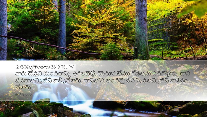 2 దినవృత్తాంతాలు 36:19 TELIRV Bible Verse Image