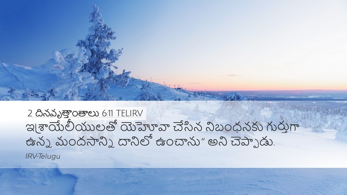 2 దినవృత్తాంతాలు 6:11 TELIRV Bible Verse Image