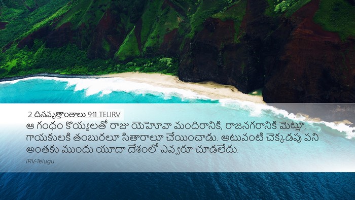 2 దినవృత్తాంతాలు 9:11 TELIRV Bible Verse Image