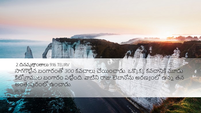 2 దినవృత్తాంతాలు 9:16 TELIRV Bible Verse Image