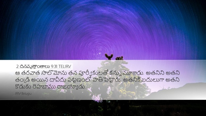 2 దినవృత్తాంతాలు 9:31 TELIRV Bible Verse Image