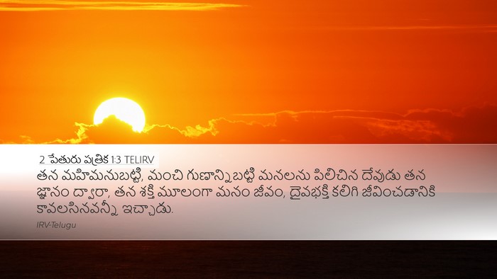 2 పేతురు పత్రిక 1:3 TELIRV Bible Verse Image