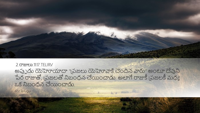 2 రాజులు 11:17 TELIRV Bible Verse Image