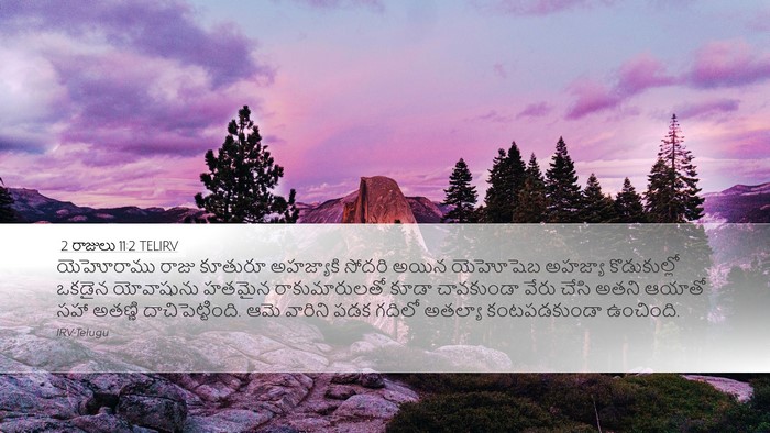 2 రాజులు 11:2 TELIRV Bible Verse Image
