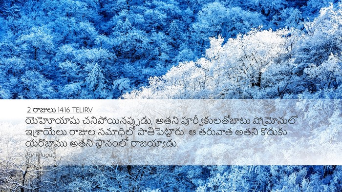 2 రాజులు 14:16 TELIRV Bible Verse Image