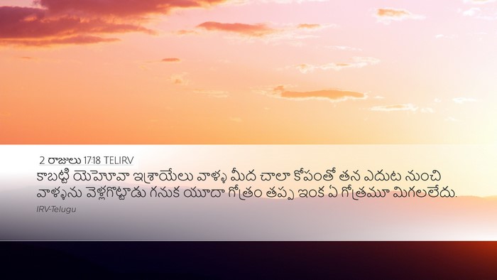 2 రాజులు 17:18 TELIRV Bible Verse Image