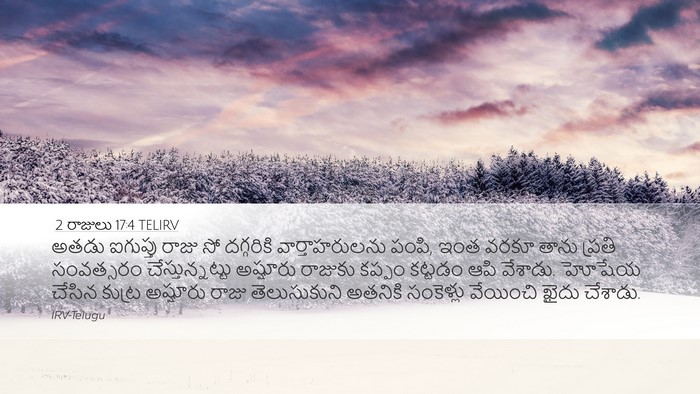 2 రాజులు 17:4 TELIRV Desktop Wallpaper - అతడు ఐగుప్తు రాజు - Desktop Bible Verse Wallpaper