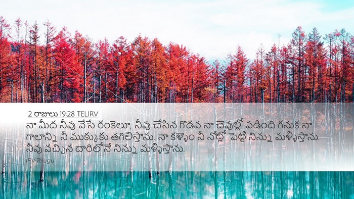 2 రాజులు 19:28 TELIRV Bible Verse Image