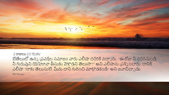 2 రాజులు 2:3 TELIRV Bible Verse Image