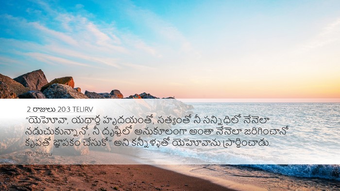 2 రాజులు 20:3 TELIRV Bible Verse Image