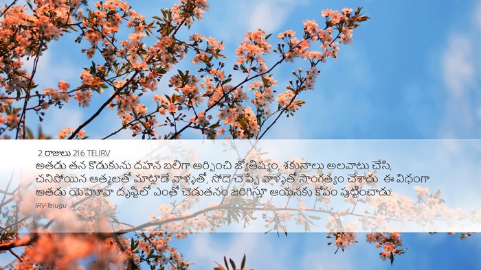 2 రాజులు 21:6 TELIRV Bible Verse Image