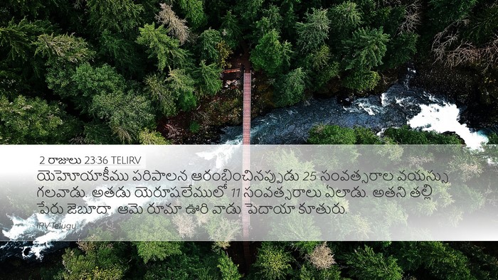 2 రాజులు 23:36 TELIRV Bible Verse Image