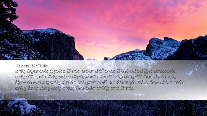 2 రాజులు 3:25 TELIRV Bible Verse Image
