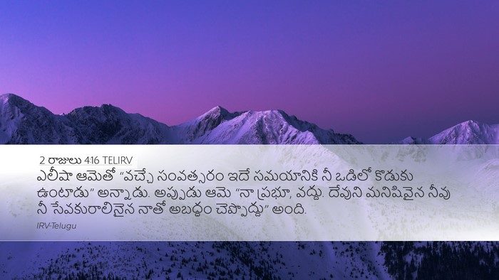 2 రాజులు 4:16 TELIRV Bible Verse Image