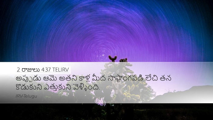 2 రాజులు 4:37 TELIRV Bible Verse Image