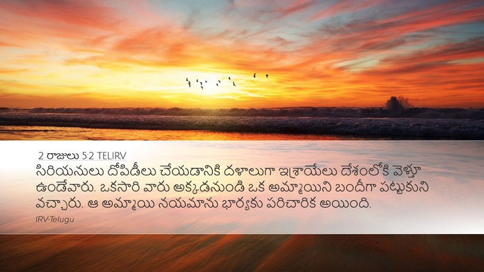 2 రాజులు 5:2 TELIRV Bible Verse Image