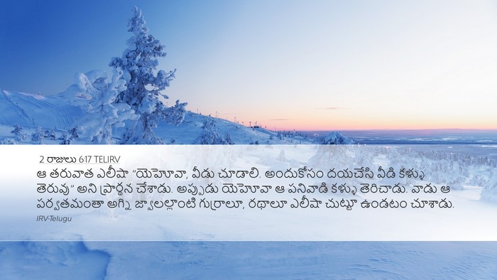 2 రాజులు 6:17 TELIRV Bible Verse Image